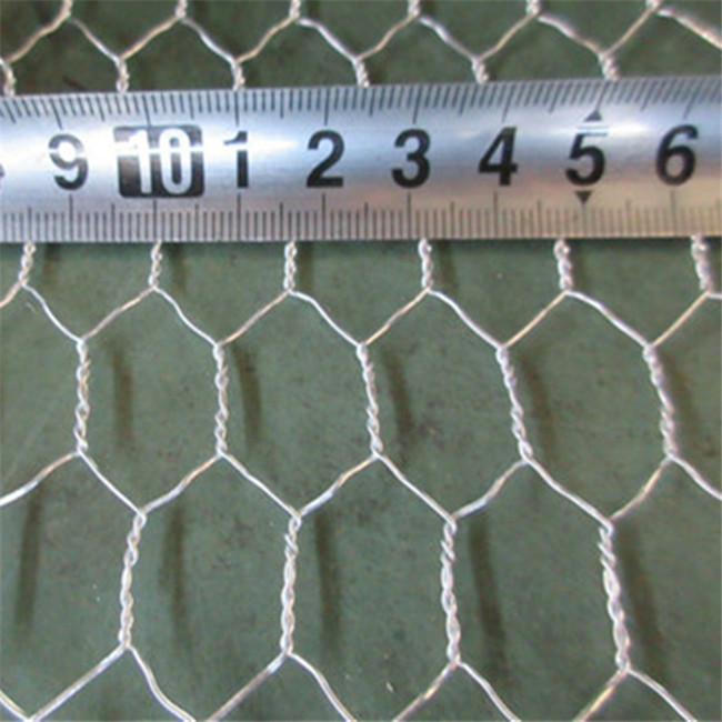 Galvanized Wire Mesh Screen - Durable and Versatile Solutions