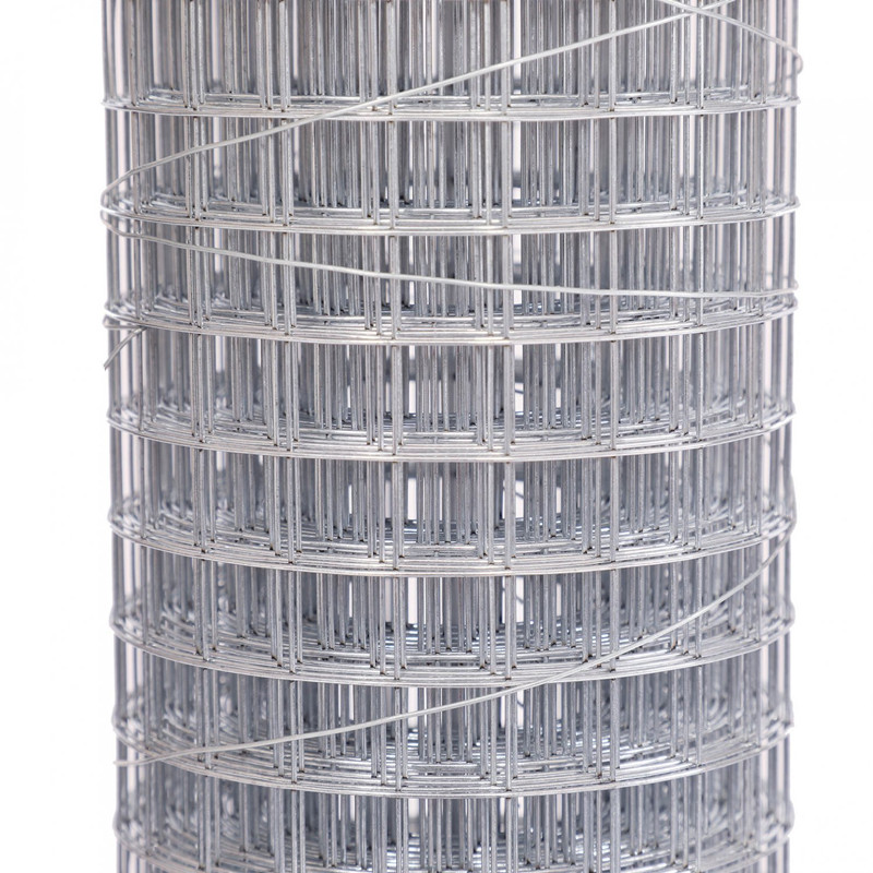Galvanized Welded Wire Mesh Rolls - Strong, Rustproof