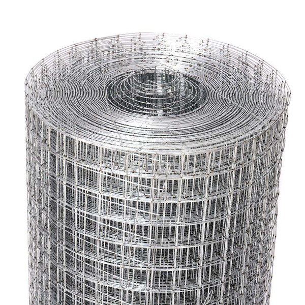Galvanized Welded Wire Mesh Rolls - Strong, Rustproof
