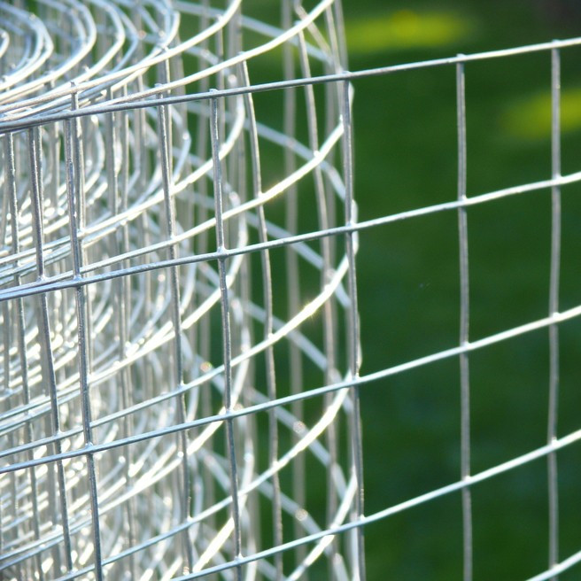 Galvanized Welded Wire Mesh Rolls - Strong, Rustproof