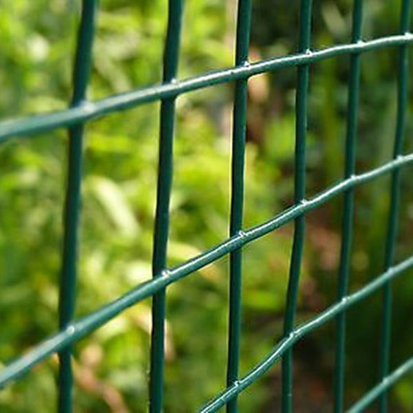 Premium PVC Coated Wire Mesh for Sale - Durable & Long-Lasting