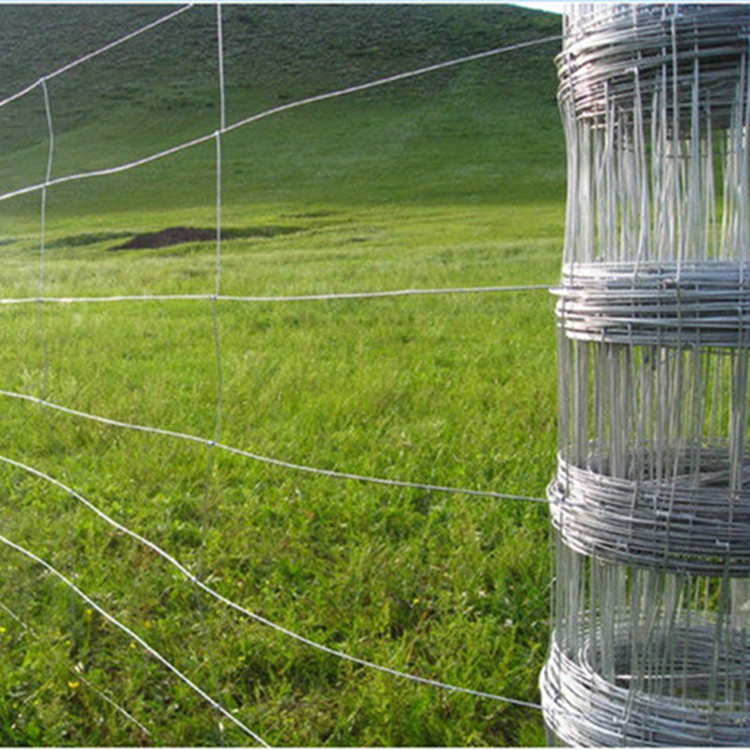 animal mesh fencing
