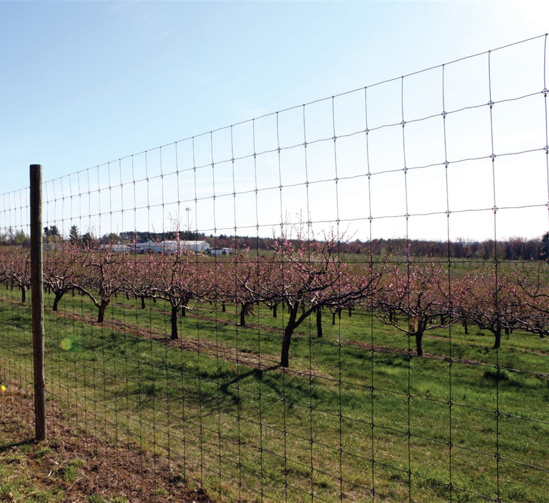 Siatka druciana 4 cale x 4 cale - Wytrzymałe i uniwersalne rozwiązanie