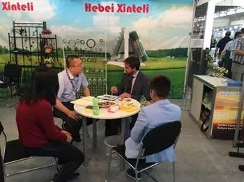 High-Quality Galvanized Welded Wire Mesh Factory