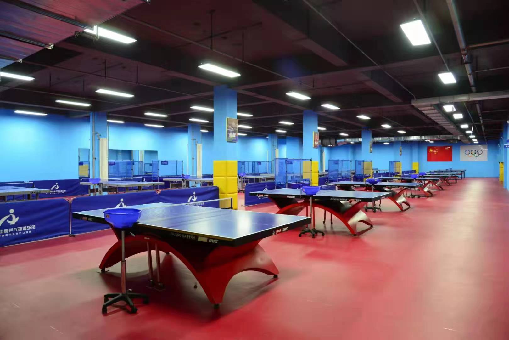 Premium Table Tennis Floor Mat For Sale - Optimal Grip & Safety.