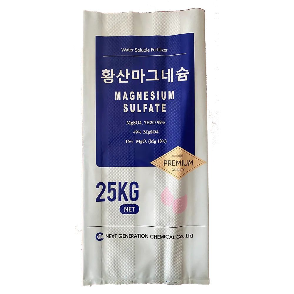 M Folding Anti-Slip Bag: Compact, Secure Portable Storage Solution