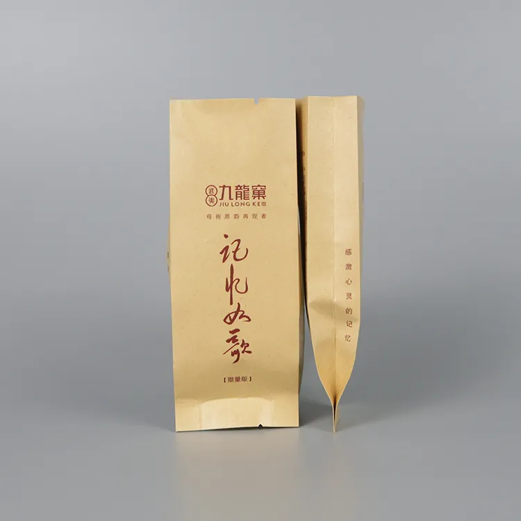Paper Carrier Bags Wholesale: Custom Printed & Eco-Friendly