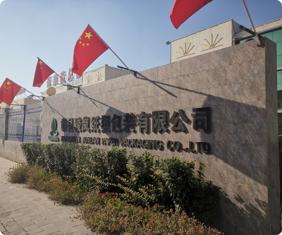 custom plastic bag packaging