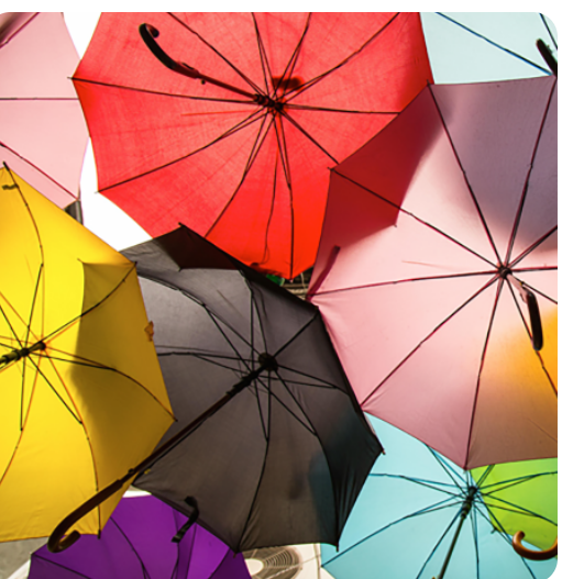 Premium Rainwear Solutions: Designer Umbrellas & Heavy Duty Protection