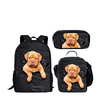 From Baby Backpacks to Back to School Backpacks: Trends, Tips, and Practical Insights