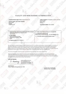 lightweight travel backpack