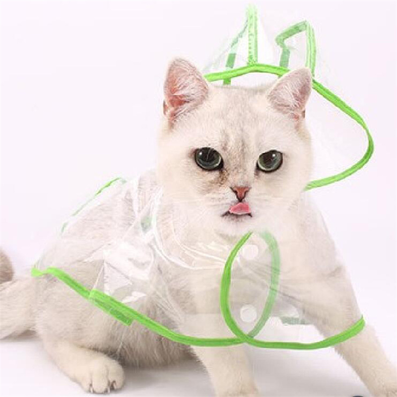 Full Printing 100% Waterproof Wearable Striped Polyester Fashion Windproof Raincoat