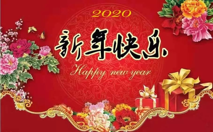 500 disposable gloves