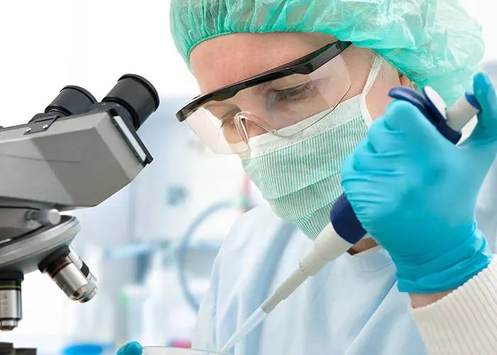 Effective Solutions for Algae Prevention in Swimming Pool Water Maintenance