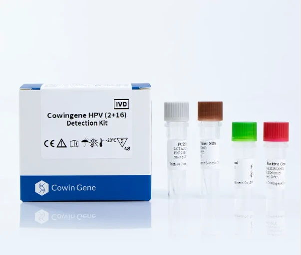 High-Sensitivity HPV (2+16) Molecular Detection for Early Cervical Cancer Screening