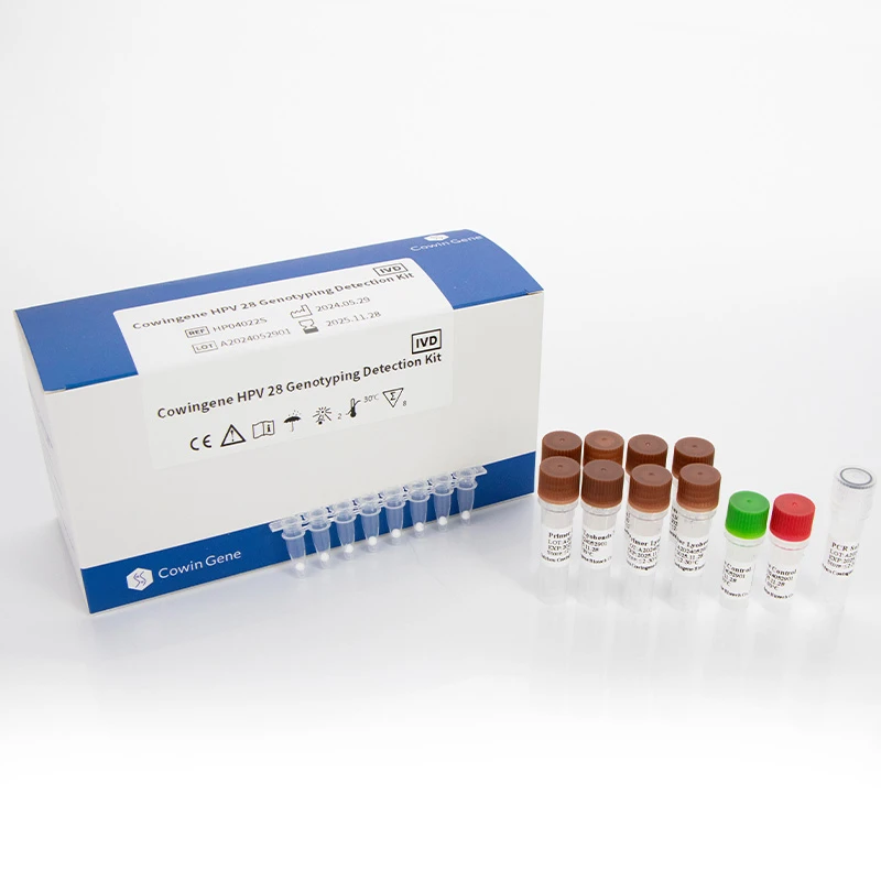 Cowingene HPV 28 Genotyping Detection Kit  (Lyophilized)