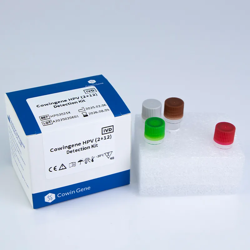 Accurate HPV Testing Kit – Easy At-Home Use & Fast Results