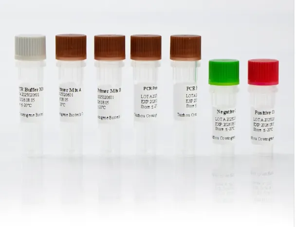 Comprehensive HPV 15 Genotyping Solution for Accurate Cervical Cancer Risk Assessment