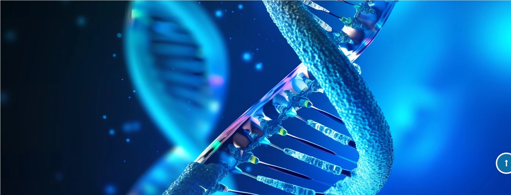 Herpes Simplex Test Kit Best Options for Accurate Self Testing