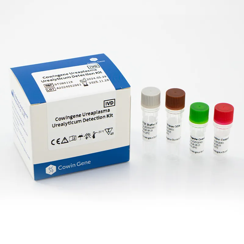 Elevating Diagnostics with Urealyticum Pcr
