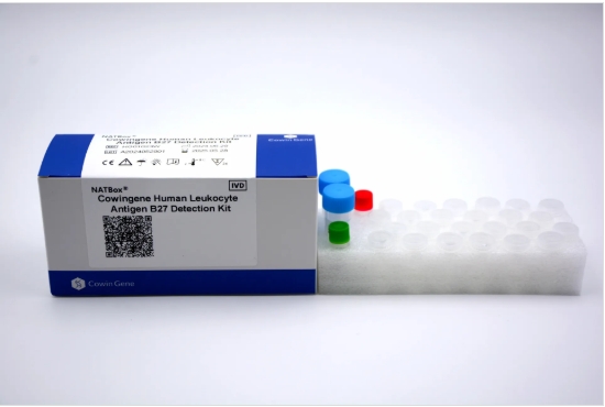 Taizhou Cowingene Biotech Co.,Ltd.: Elevating Diagnostics with Hla B27 Pcr Kit