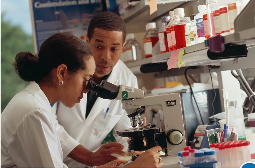 Excelling in Pcr Mycoplasma Hominis