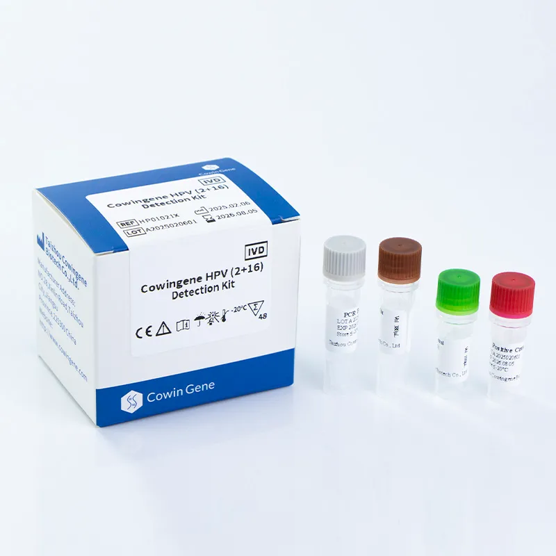 Gastrointestinal PCR and GI Pathogen Panels: Enhancing Diagnostic Accuracy for Gastrointestinal Infections