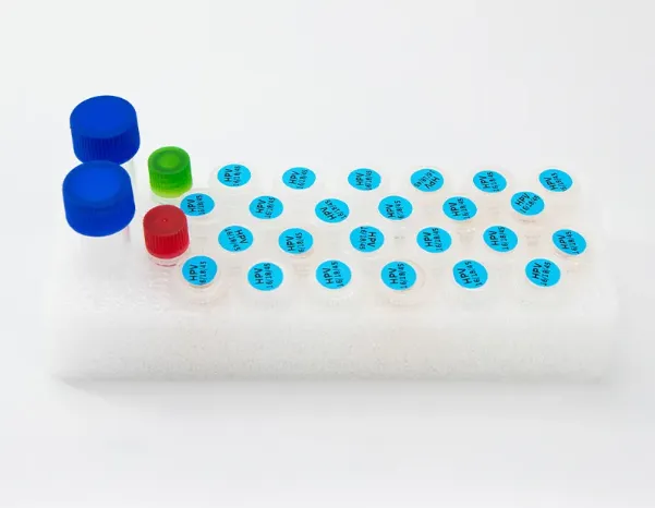 Rapid HPV 16/18/45 Molecular Detection with NATBox for Targeted Cervical Cancer Screening