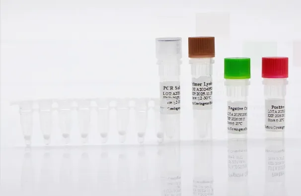 Accurate and Reliable HSV-1/2 Molecular Detection for Clinical Diagnosis