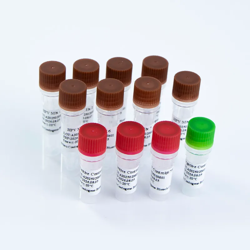 human papilloma virus hpv pcr detection kit - Taizhou Cowingene Biotech Co., Ltd.|Advanced Molecular Diagnostic Solution&amp;Comprehensive HPV Genotyping
