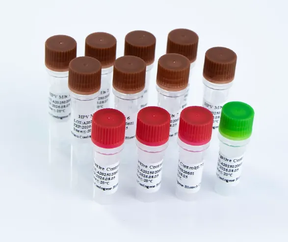 Comprehensive HPV 28 Genotyping Solution for Advanced Cervical Cancer Screening