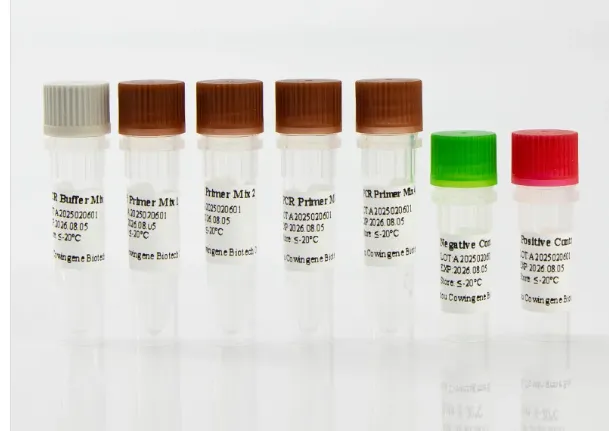 Comprehensive 14-Pathogen STI Detection Solution for Accurate Molecular Diagnosis