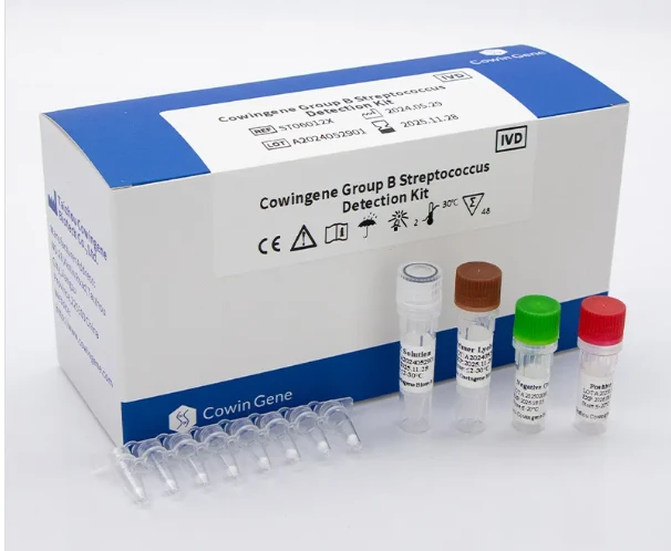 Cowingene Launches Advanced Lyophilized PCR Kit for Rapid Detection of Group B Streptococcus in Pregnancy Screening