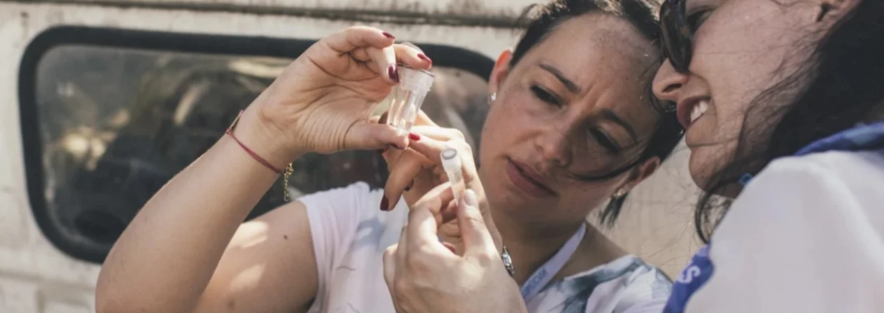 Dengue And Severe Dengue