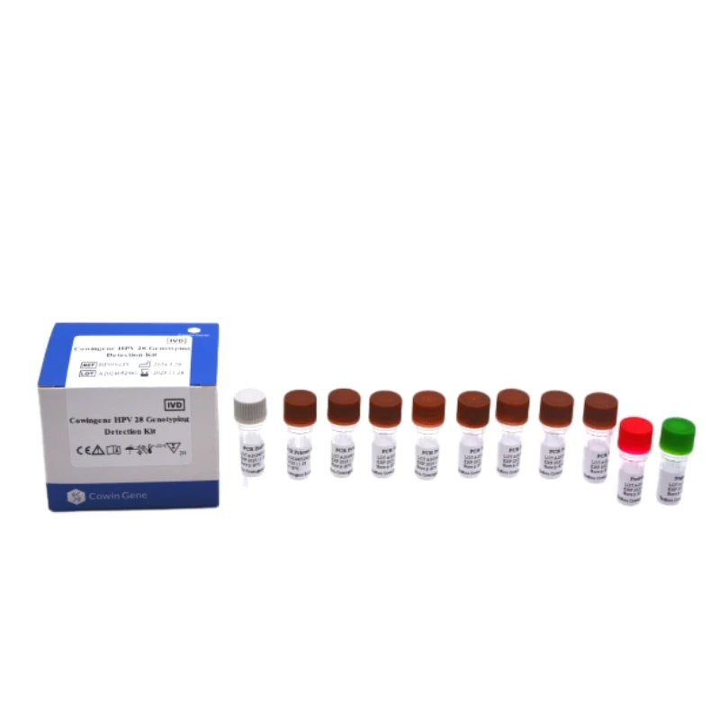 Cowingene HPV 28 Genotyping Detection Kit