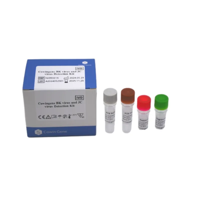 Rapid BK Virus PCR: Accurate & Quantitative Diagnostics
