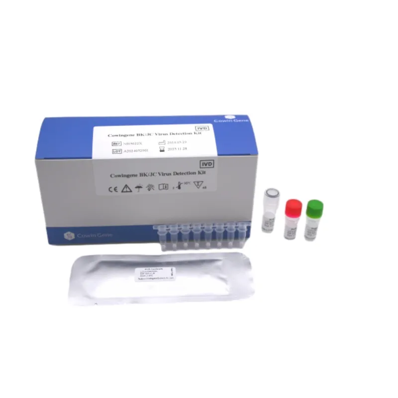Rapid BK Virus PCR: Accurate & Quantitative Diagnostics