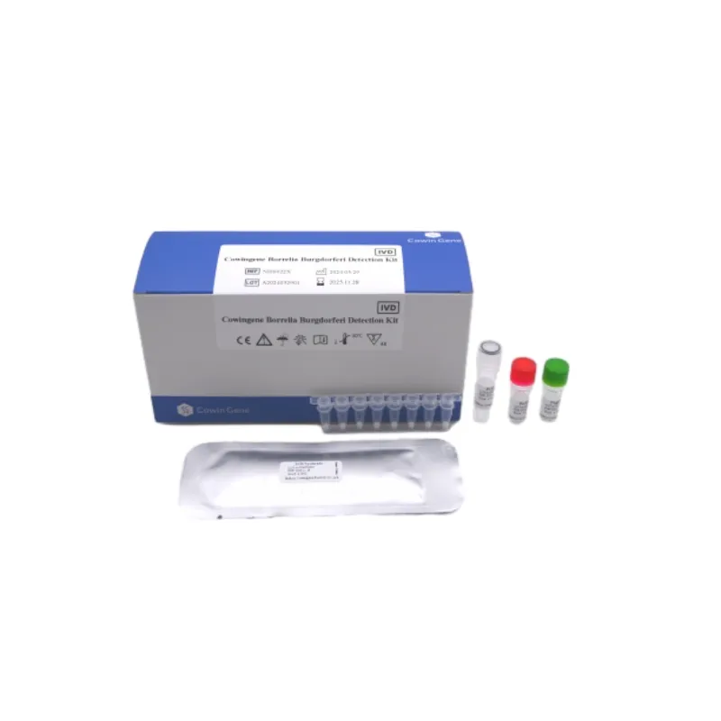 VZV DNA PCR Testing: Fast & Accurate AI Diagnosis