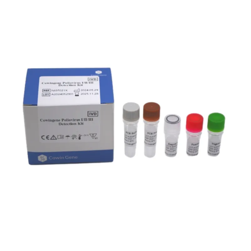 Accurate CMV DNA Quantitative PCR Test for Viral Monitoring