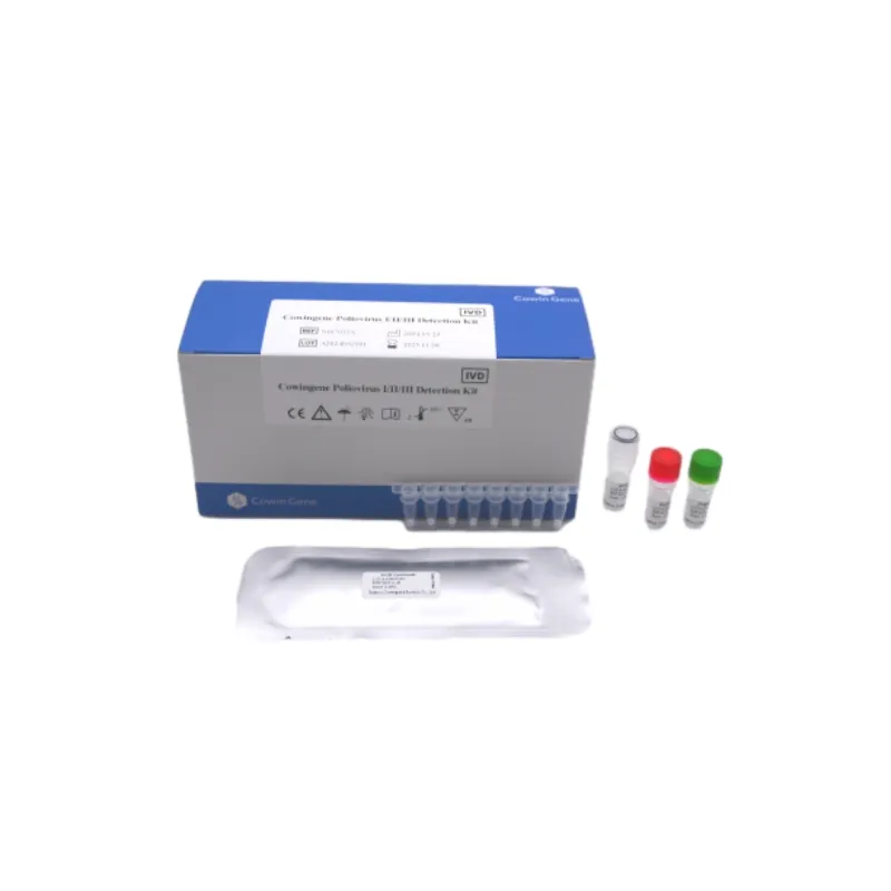 Accurate CMV DNA Quantitative PCR Test for Viral Monitoring