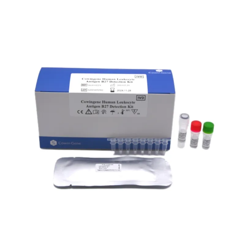 HLA B27 PCR Test Kit: Accurate & Rapid Detection