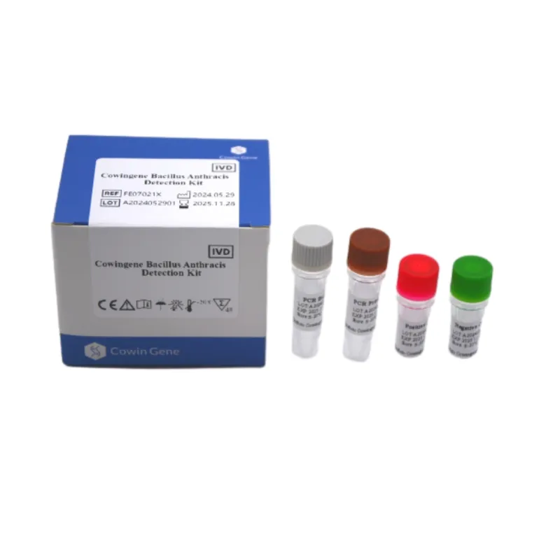 Reliable Bacillus Anthracis Detection: Rapid RT-PCR Solutions