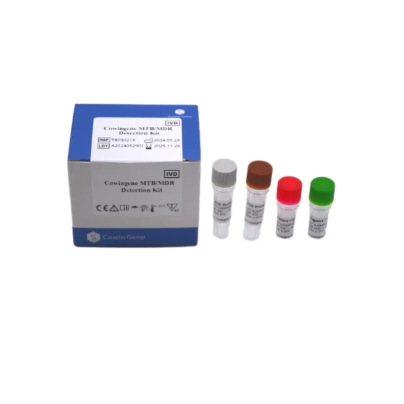 Rapid Tuberculosis Detection with Advanced PCR Technology