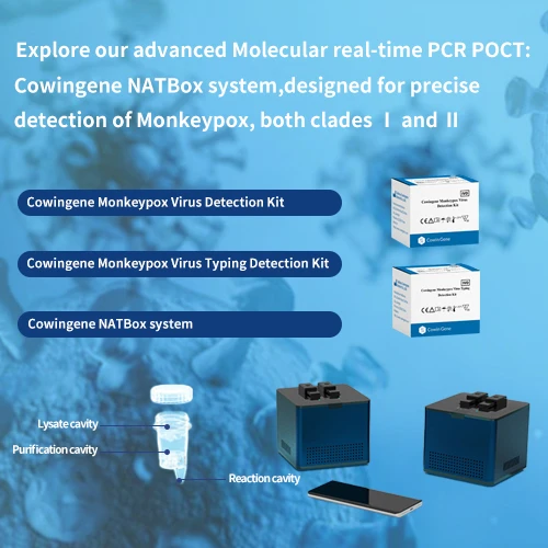Explore Cowingene’s advanced Molecular real-time PCR kit