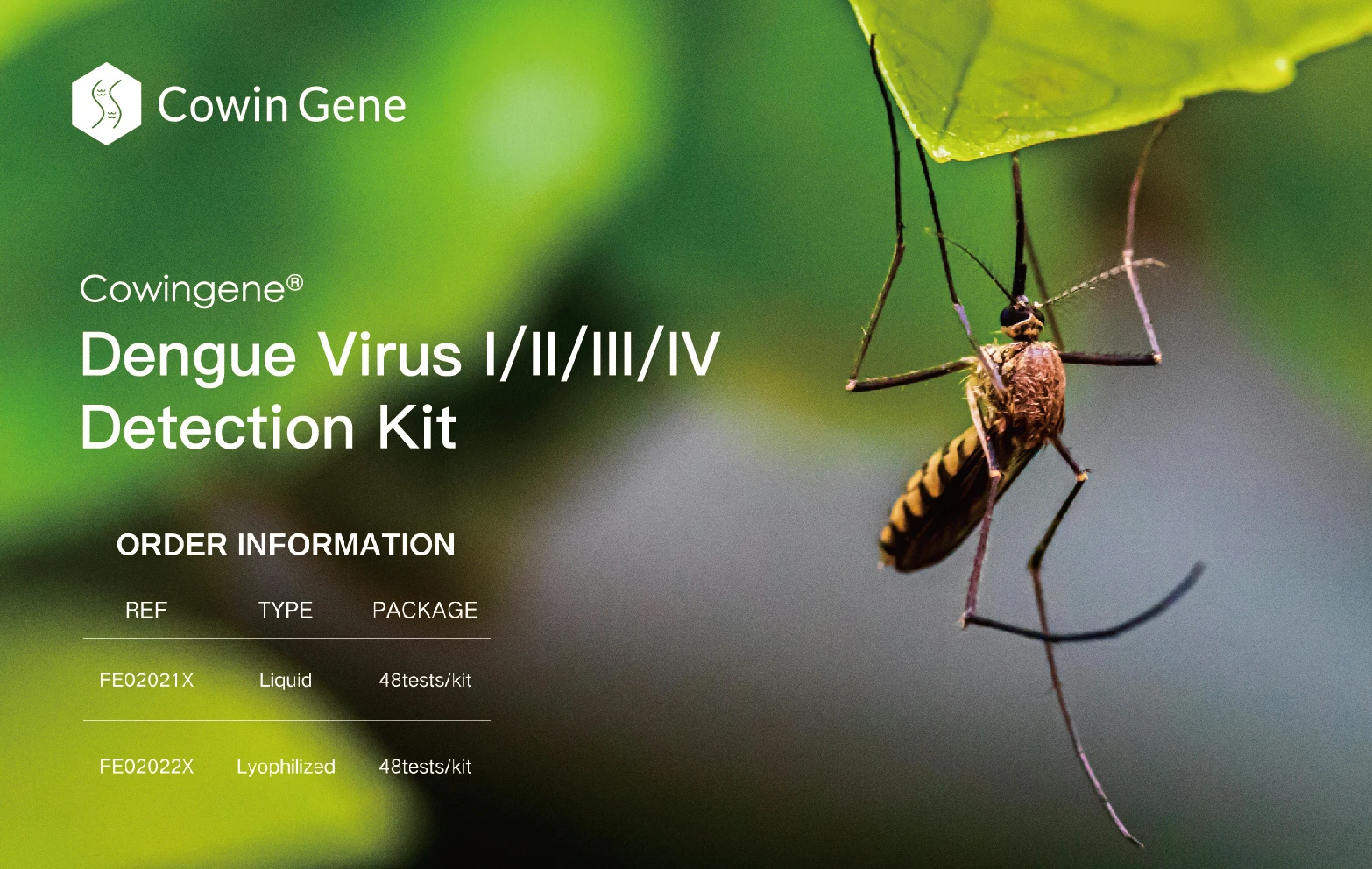 Why Dengue Serotyping (I/II/III/IV) Matters - Especially In The Middle East