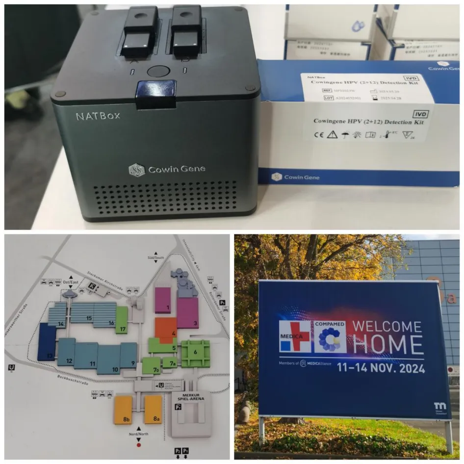 Cowingene Automatic Nucleic Acid POCT machine--NATBox Mini II