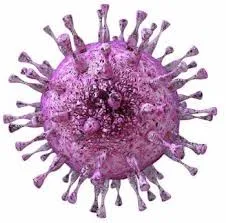 Precision Diagnostics for Viral Detection Using Cytomegalovirus PCR