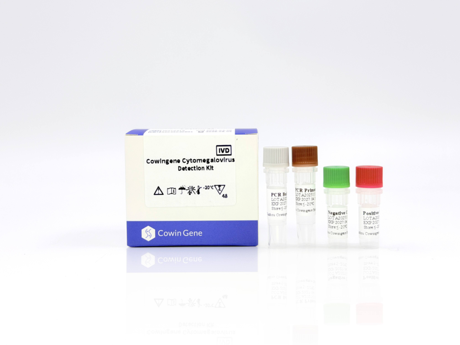 cytomegalovirus detection cytomegalovirus detection