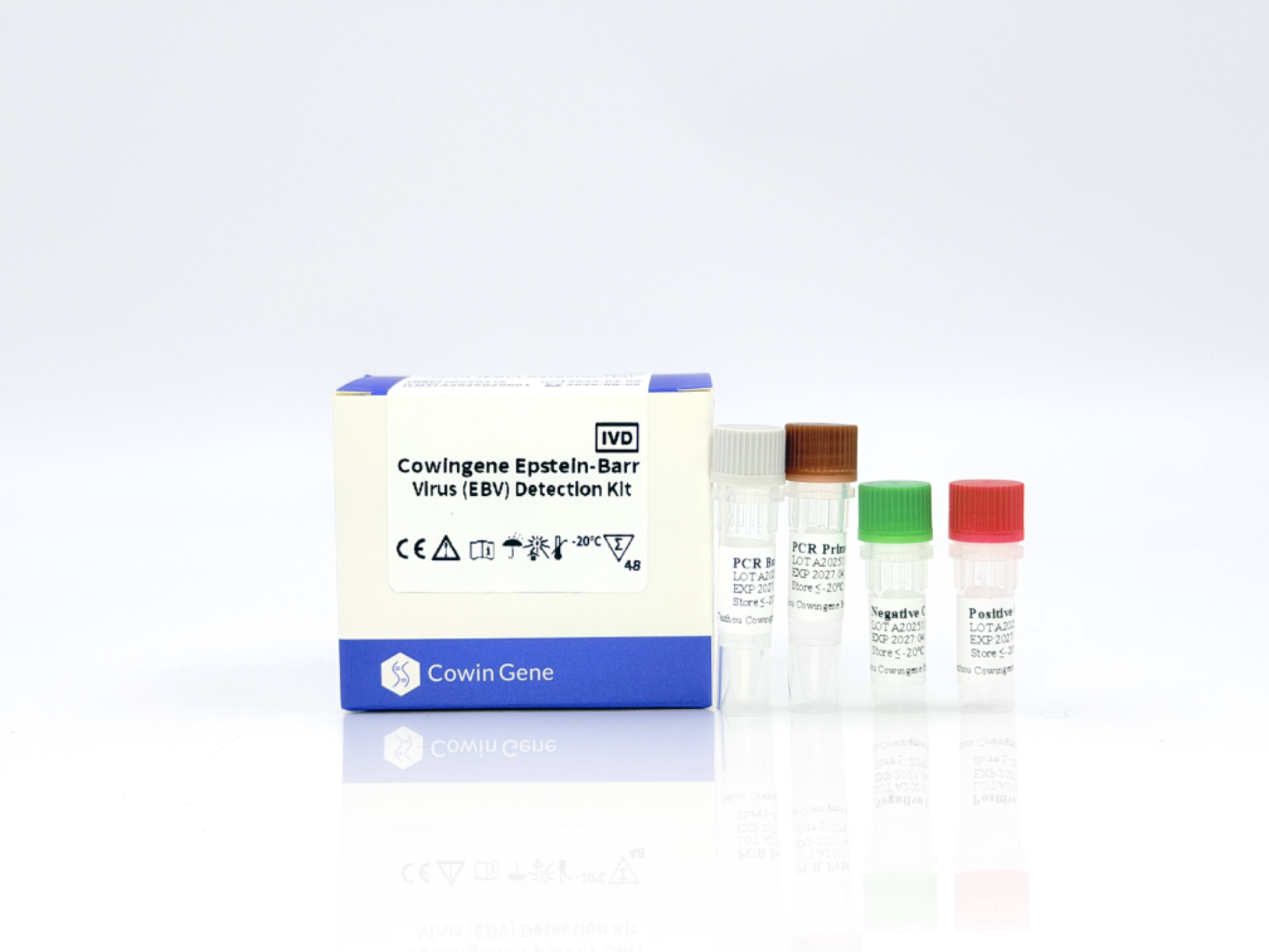 epstein barr virus detection epstein barr virus detection