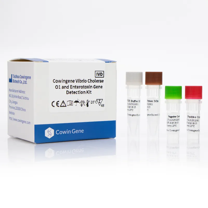 Enterovirus Detection: Rapid, Accurate PCR Testing